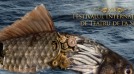 Opportunities: Sibiu International Theatre Festival 2013 (Romania)