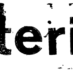 interim